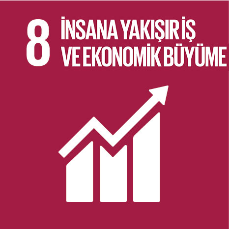 İnsana Yakışır İş ve Ekonomik Büyüme